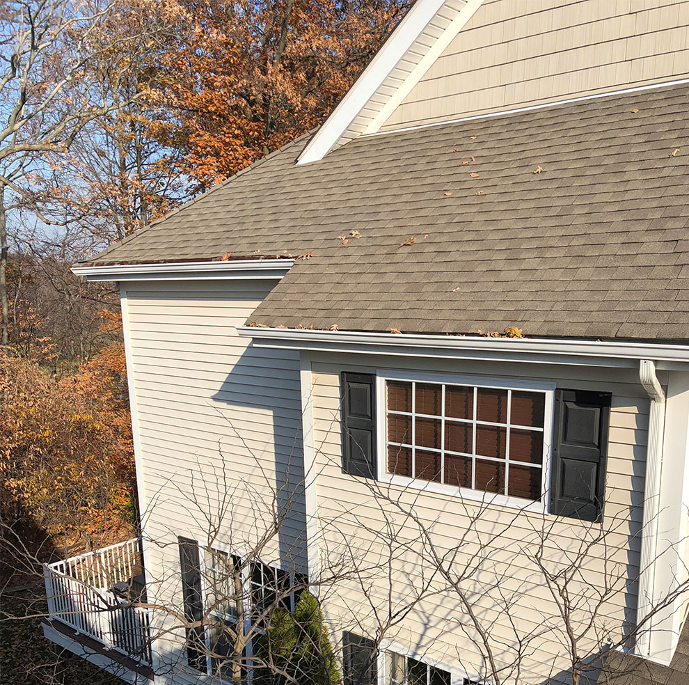 Gutters cleaning services