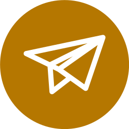 Black paper airplane icon inside a solid brown circle.